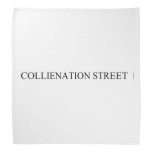 COLLIENATION STREET  Bandana