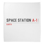 Space Station  Bandana