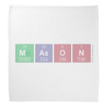 mason  Bandana