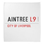 Aintree  Bandana