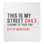 This is my  street  Bandana