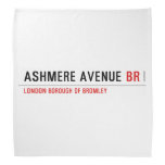 ASHMERE AVENUE  Bandana