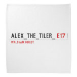 alex_the_tiler_  Bandana