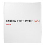Barrow Point Avenie  Bandana