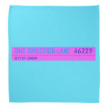 One Direction Lane   Bandana