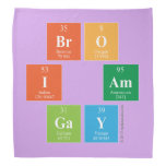 Bro
 I am
 Gay  Bandana