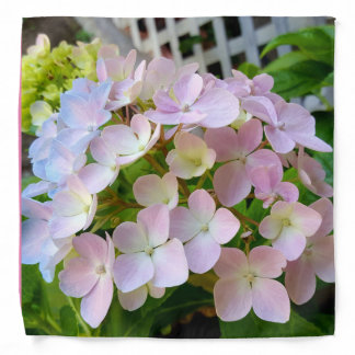 Bandana - Baby pink Hydrangeas