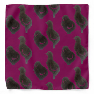 BANDANA studio miiri