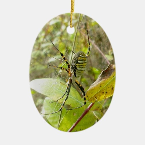 Banded Argiope Spider Christmas Ornament