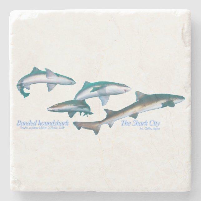 Banded houndsharks stone coaster (Front)