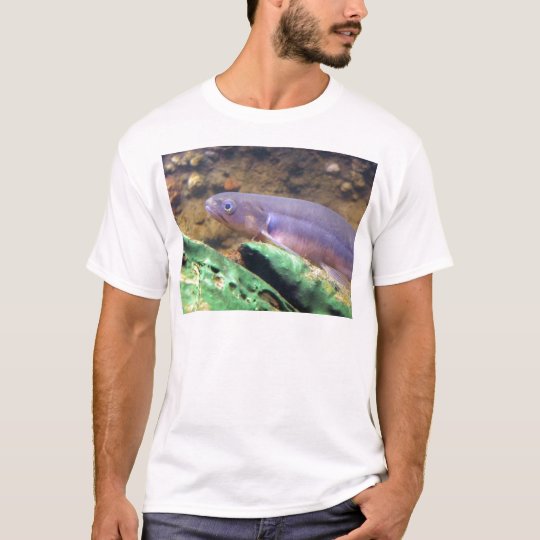 Banded Kokopu T-Shirt