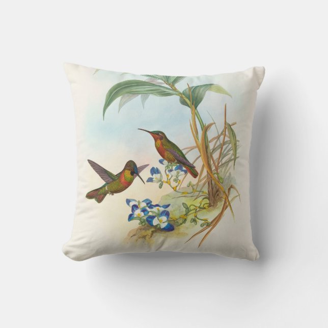 Banded Ruby by John Gould Throw Pillow (Front)