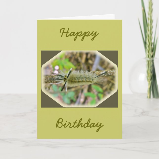 Banded Tussock Moth Caterpillar Card (Front)