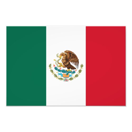 Bandera de Mexico National flag Mexicanos Photo Print