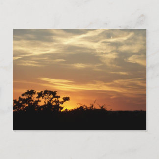 Bandera Texas Sunset Postcard
