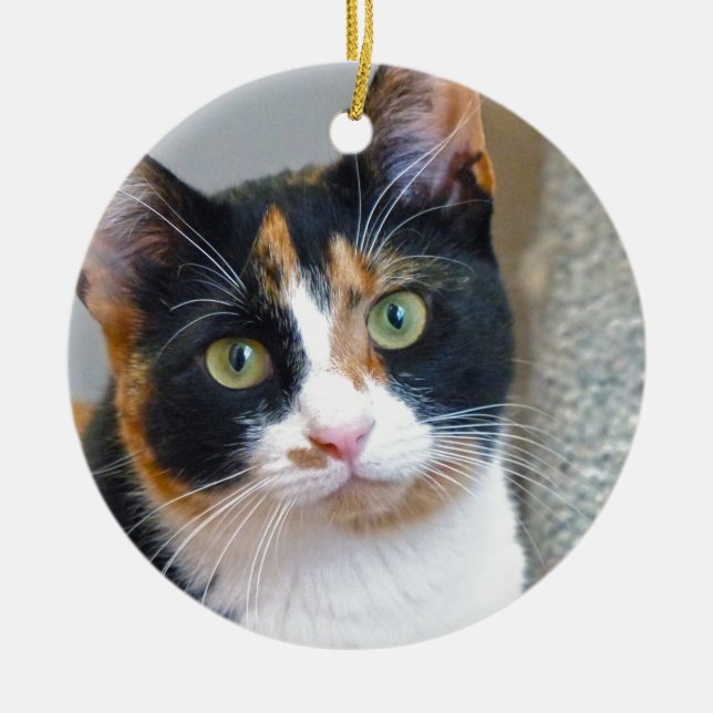 bandit ceramic ornament (Front)