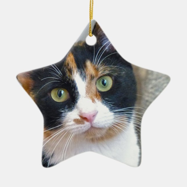 Bandit Ceramic Ornament (Front)
