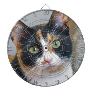 Bandit Dart Board