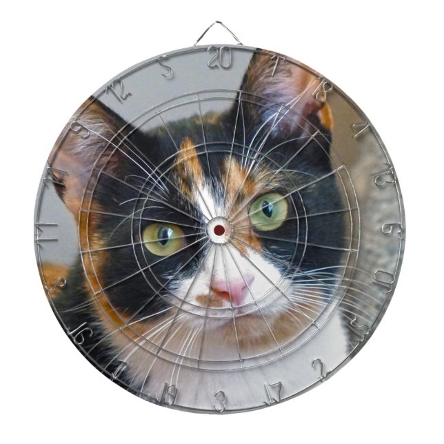 Bandit Dart Board (Front)