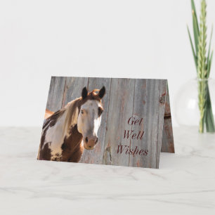 Bandit Get Well Card. customize it yourself Card