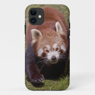 Bandit iPhone 5 Case-Mate Case