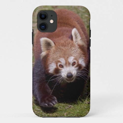 Bandit iPhone 5 Case_Mate Case