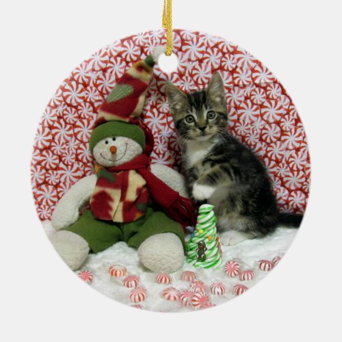 Bandit Kitten Cat Rescue Christmas Ceramic Ornament