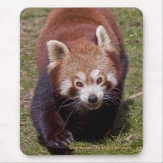Bandit Mousemat Mouse Pad