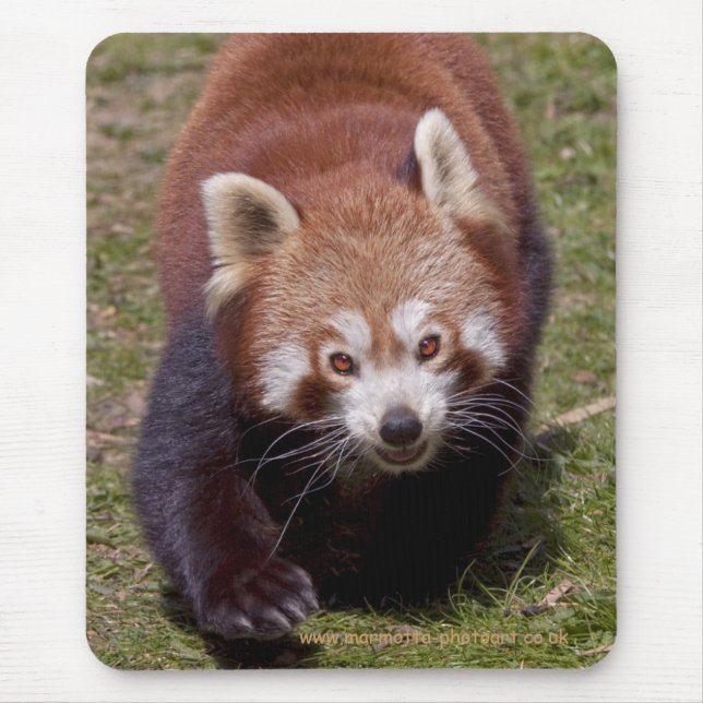 Bandit Mousemat Mouse Pad (Front)