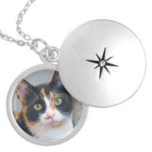 Bandit Silver Plated Necklace