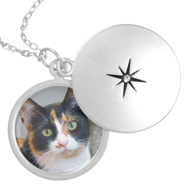 Bandit Silver Plated Necklace (Front)