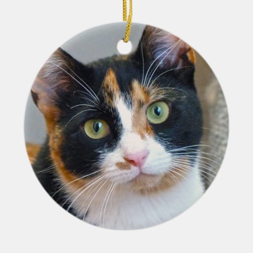 Bandit the Calico Cat Ceramic Ornament