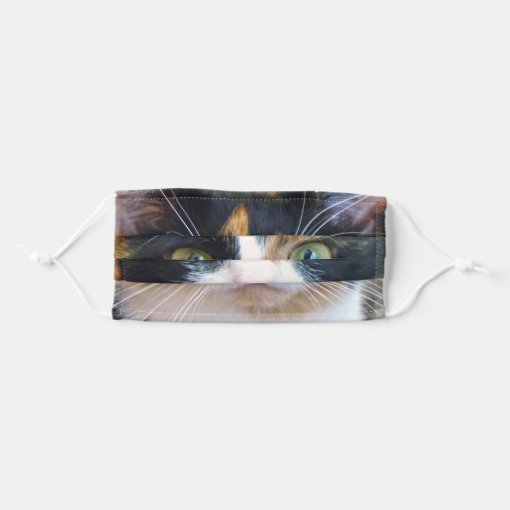 Bandit the Cat Adult Cloth Face Mask | Zazzle