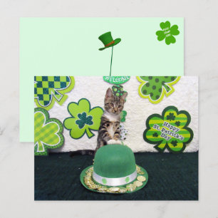 Bandit The Cat's Lucky Gold Coins Postcard