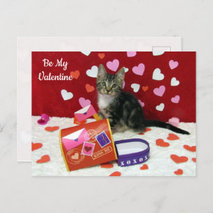 Bandit The Cat's Valentine Mailbox Postcard