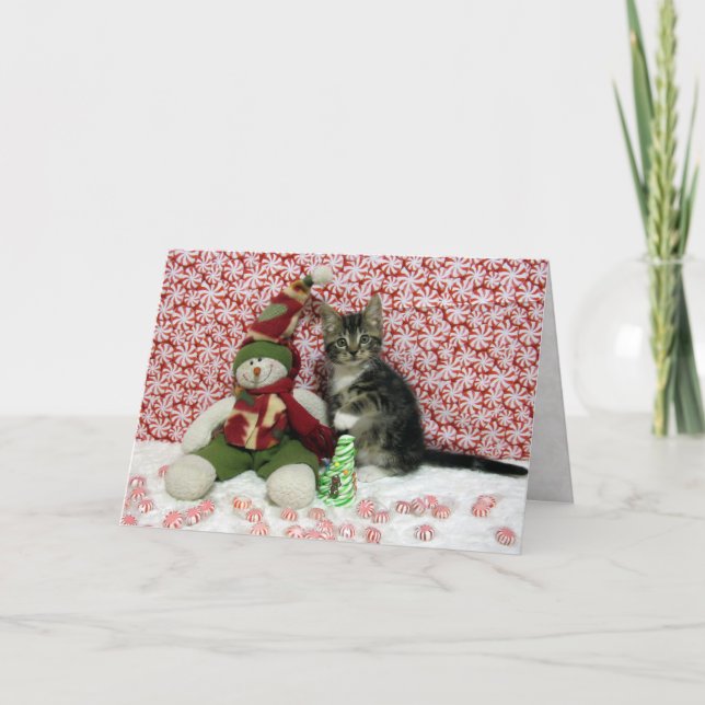 Bandit's Christmas Portrait - Cat / Kitten Holiday Card (Front)