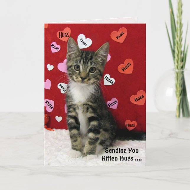 Bandit's Kitten Hugs Card (3335) (Front)