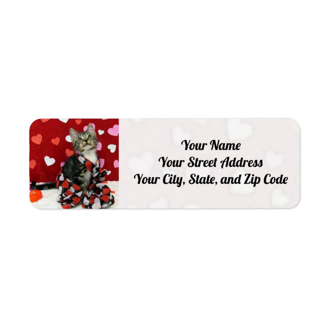 Bandit's Love - Cat / Kitten Address Labels (Front)