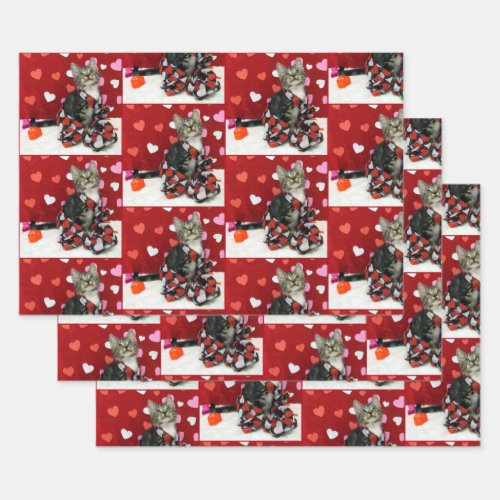 Bandits Love _ Cat  Kitten Wrapping Paper Sheets