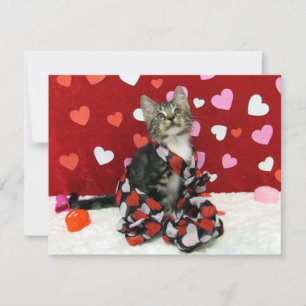 Bandit's Love Valentine - Cat / Kitten - Flat Card