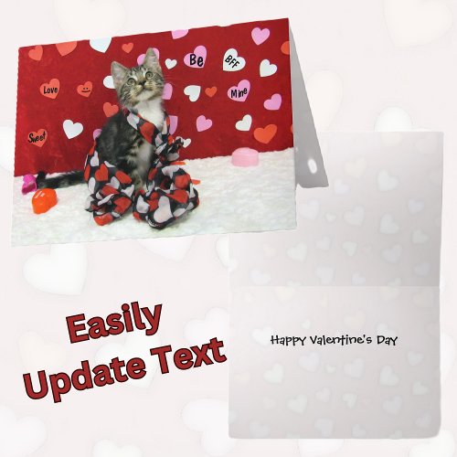 Bandits Valentines Card _ Cat  Kitten