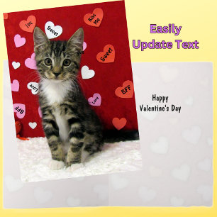 Bandit's Valentine's - Cat / Kitten Valentine Card
