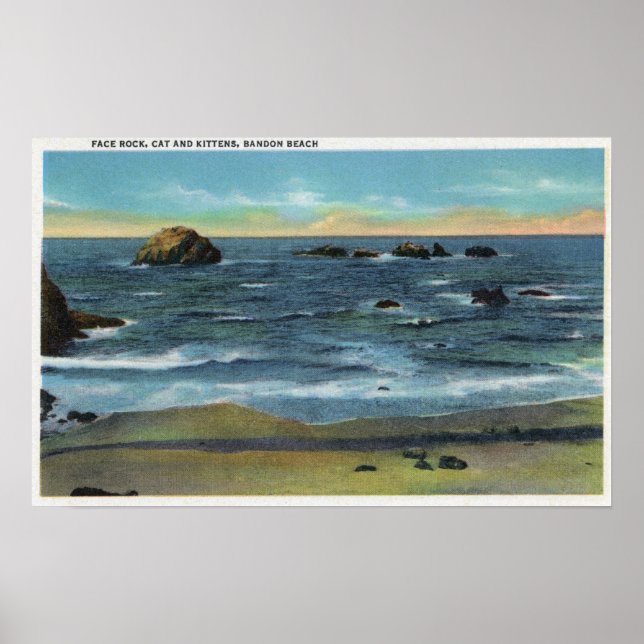 Bandon Beach View of Face Rock, Cat and Kittens Poster (Front)