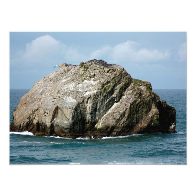 Bandon Oregon's famous Face Rock Photo Print (Front)