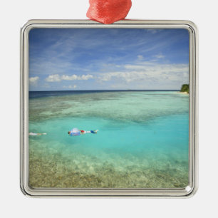 Bandos Island Resort, North Male Atoll, The Metal Ornament