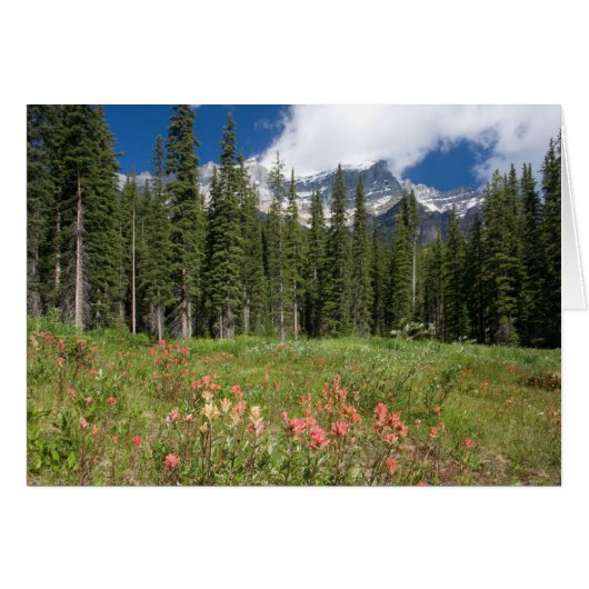 Banff Flowers Canada Cards (Front Horizontal)
