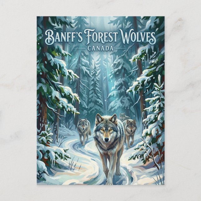 Banff National Park Canada Postcard (Front)