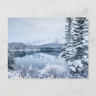 Banff National Park in Winter Postcard