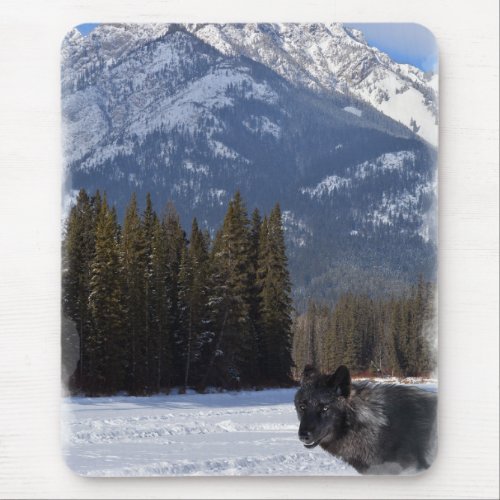 Banff Wolf in Winter with Cascade Mountain Mouse Pad