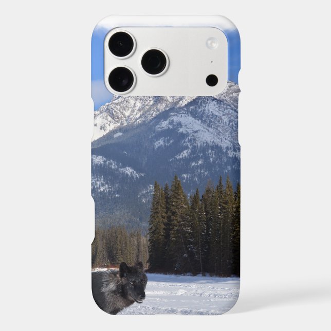Banff Wolf in Winter with Mt Cascade Iphone Case (Back)